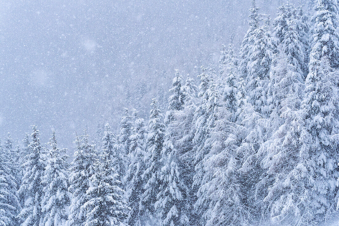 Wintersaison in Brescia prealpi, Provinz Brescia, Lombardei, Italien, Europa.