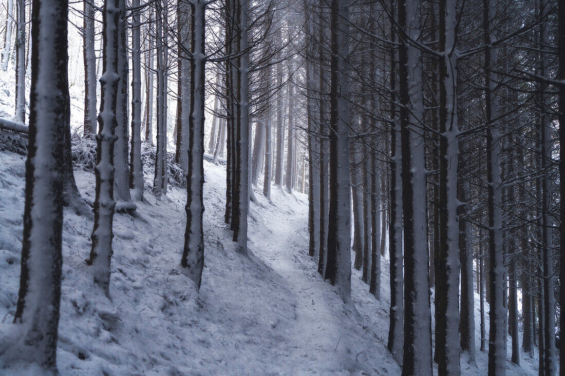 Schneeweg in Brescia prealpi, Provinz Brescia, Lombardei, Italien, Europa.