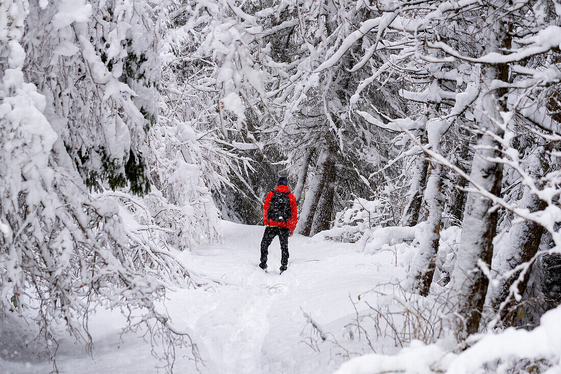 Hiker in Brescia prealpi, Brescia province, Lombardy, Italy, Europe.