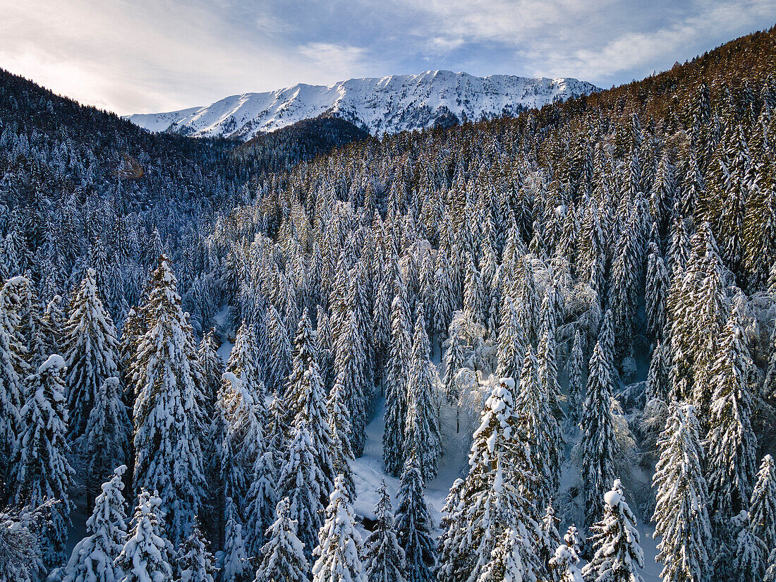 Luftaufnahme des Monte Guglielmo vom Palot-Tal aus, Lombardei, Provinz Brescia, Italien, Europa.