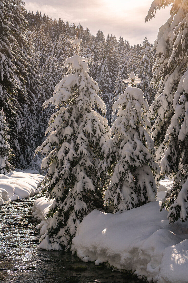 Wintersaison in Val Palot in Brescia prealpi, Provinz Brescia, Bezirk Lombardei, Italien, Europa.