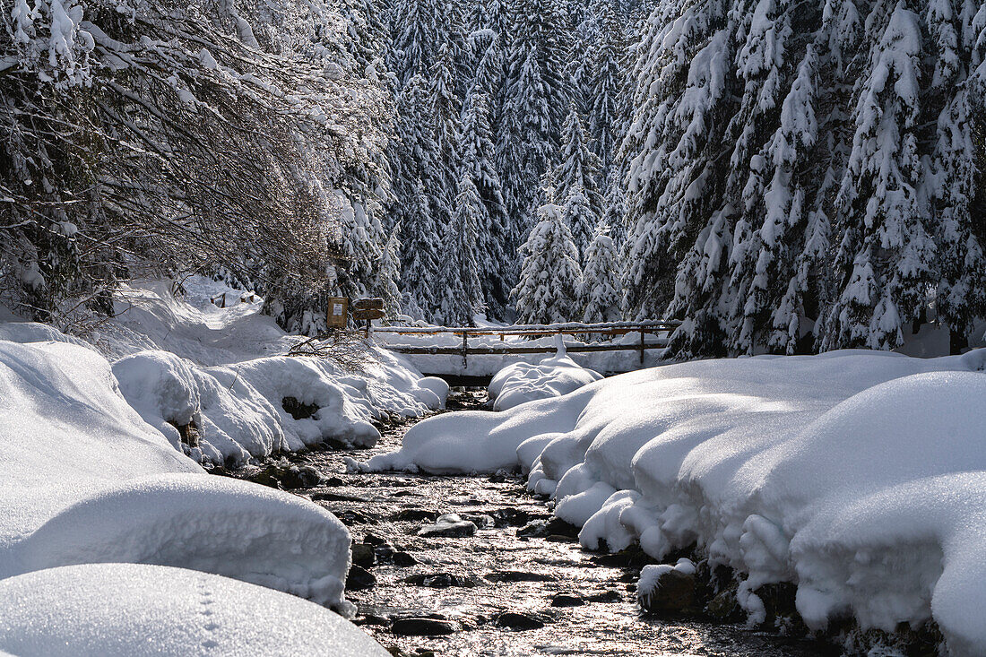Wintersaison in Val Palot in Brescia prealpi, Provinz Brescia, Region Lombardei, Italien, Europa.