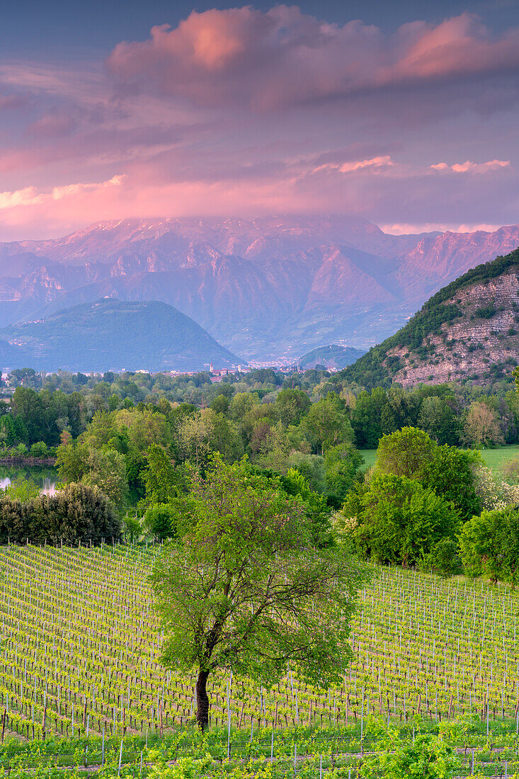 Frühling in der Franciacorta, Provinz Brescia, Lombardei, Italien.