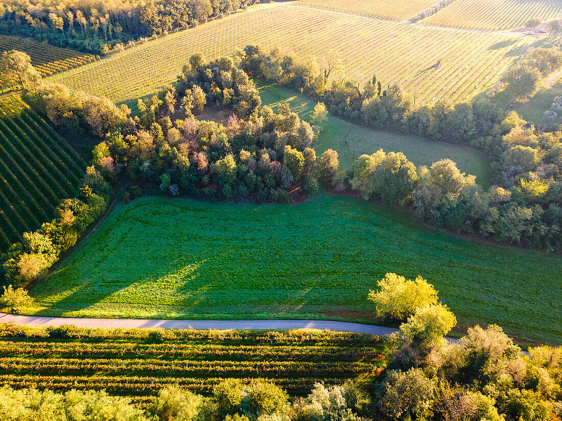 Luftaufnahme von Franciacorta in der Herbstsaison, Lombardei, Italien, Europa.