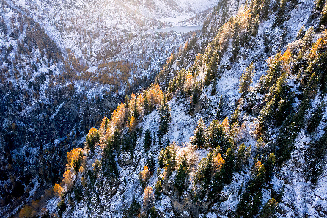 Autumn season in Adamello park, Aviolo lake in Brescia province, Lombardy district, Italy, Europe.