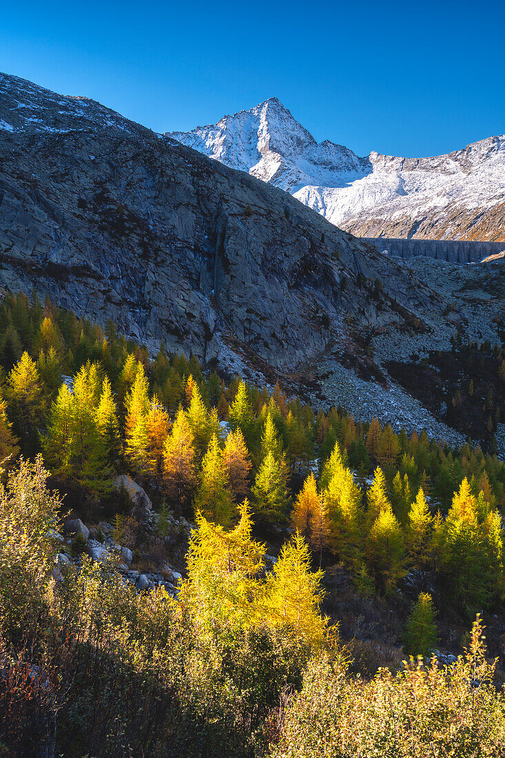 Herbstzeit im Adamello-Park, Avio-Tal in der Provinz Brescia, Region Lombardei, Italien.