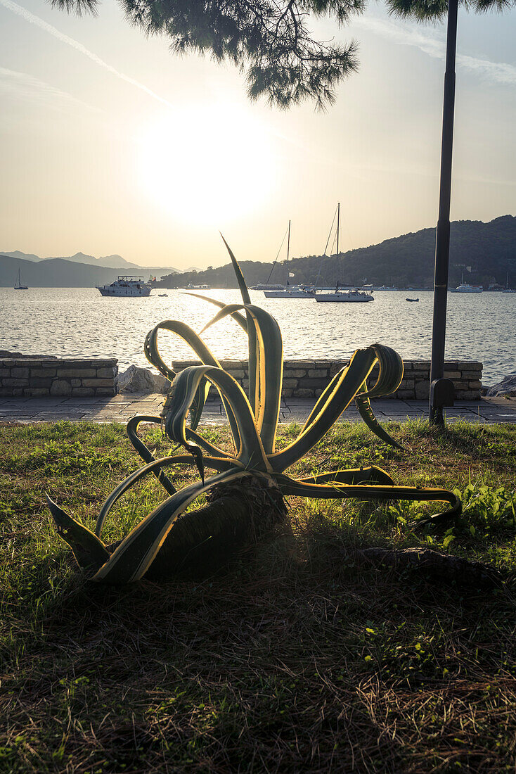 Golden sunrise on the seashore of Porto Venere; Europe, Italy, Liguria, La Spezia District