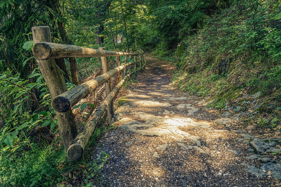 Walking on the path to the Perca Pyramids; Southern Europe, Italy, Trentino Alto Adige - South Tyrol, Bolzano District