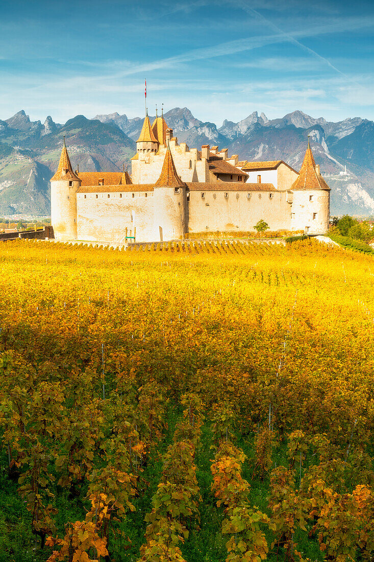 Aigle Castle, Aigle, Canton of Vaud, Switzerland, Europe