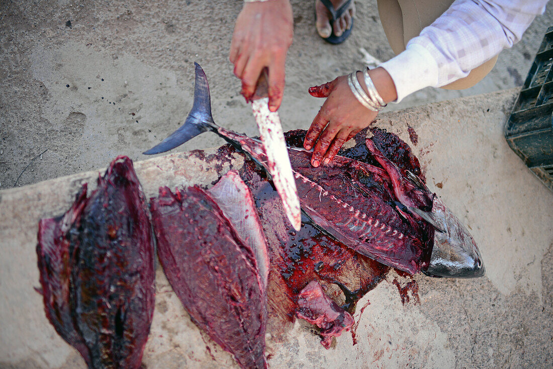 Frau öffnet Fisch auf dem Markt, Santa Rosalia, Baja California Sur, Mexiko