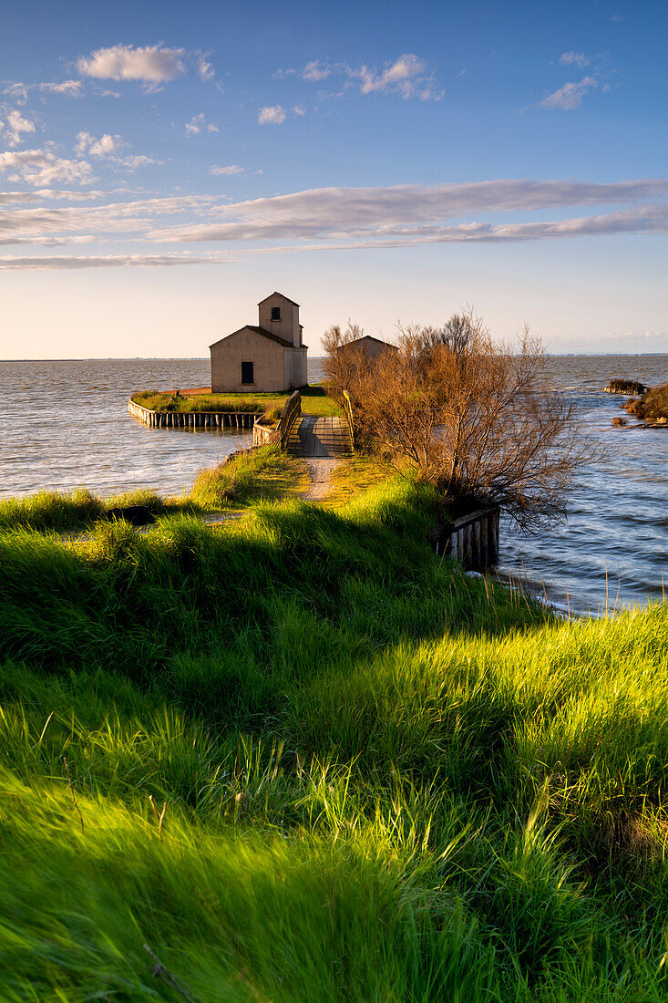 Casone Donnabona at dawn in Comacchio valley, Emilia Romagna, Ferrara province in Italy, Europe.