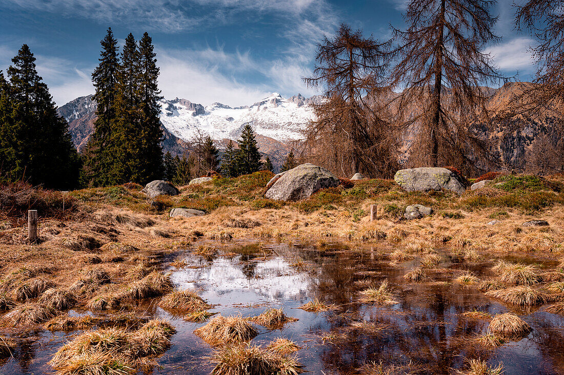 Presanella spiegelt sich in einem kleinen See an einem frühen Frühlingsnachmittag, Malga Campo, Trentino Alto Adige, Italien