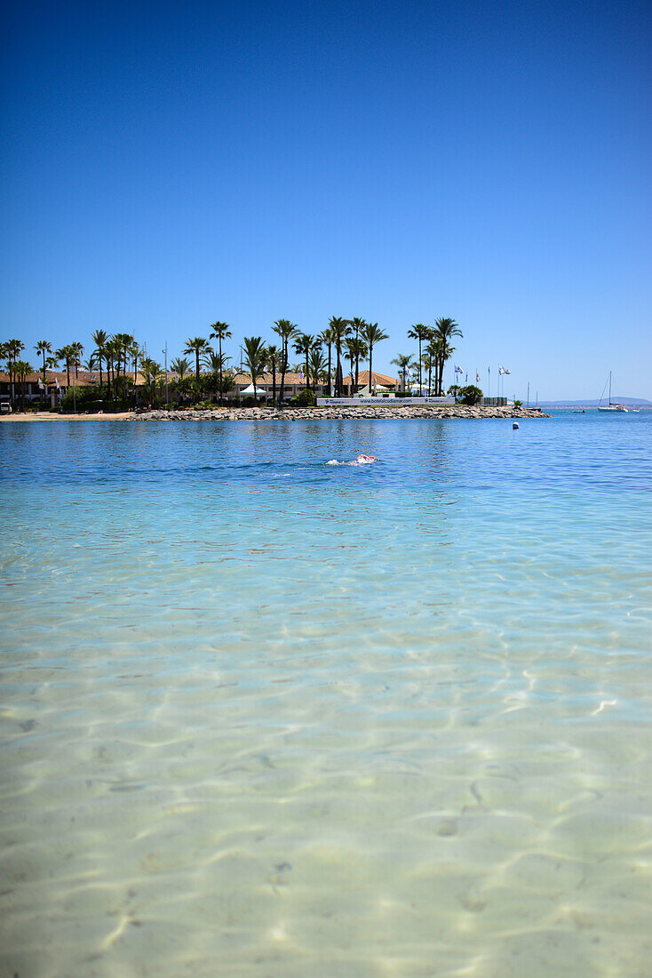 Alcudia beach in Mallorca, Spain – License image – 13829892 lookphotos