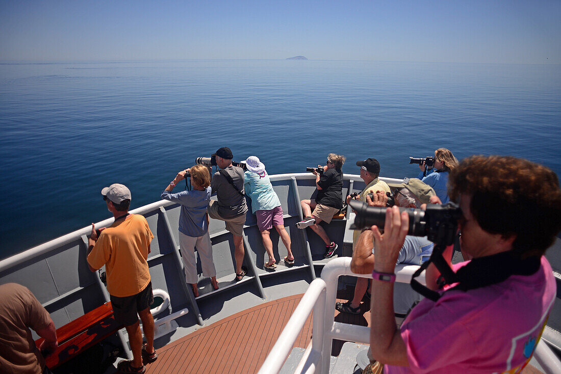 Whale watching from National Geographic Sea Bird, Sea of Cortez, Baja California, Mexico
