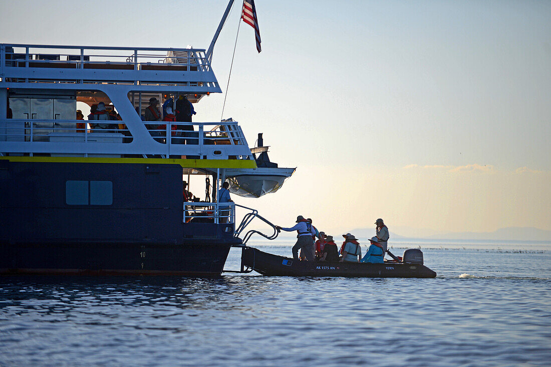 Zodiac passengers return to National Geographic Sea Bird, Sea of Cortez, Baja California, Mexico