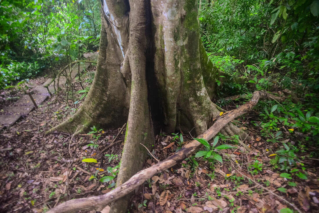 Manuel Antonio National Park in Costa Rica