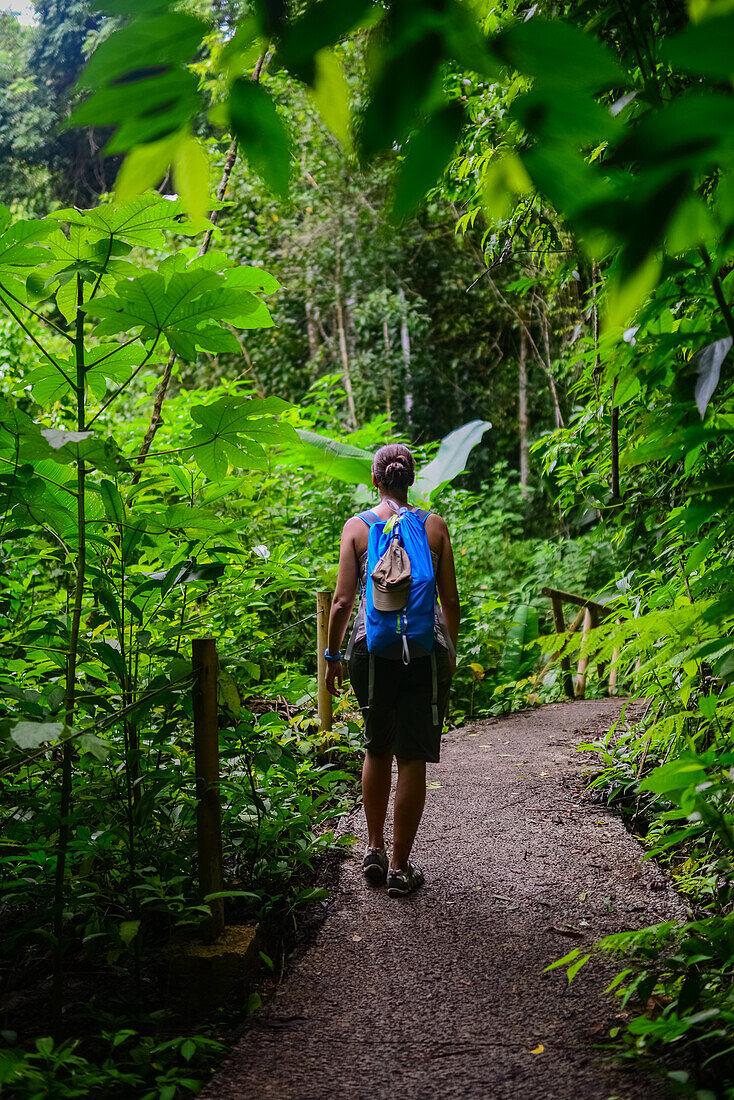 Young caucasian adventurous woman exploring Manuel Antonio National Park in Costa Rica