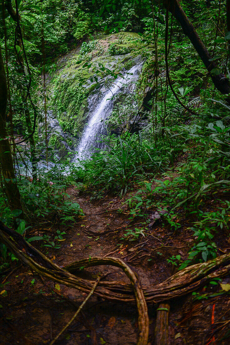 Wasserfall im Manuel-Antonio-Nationalpark, Costa Rica
