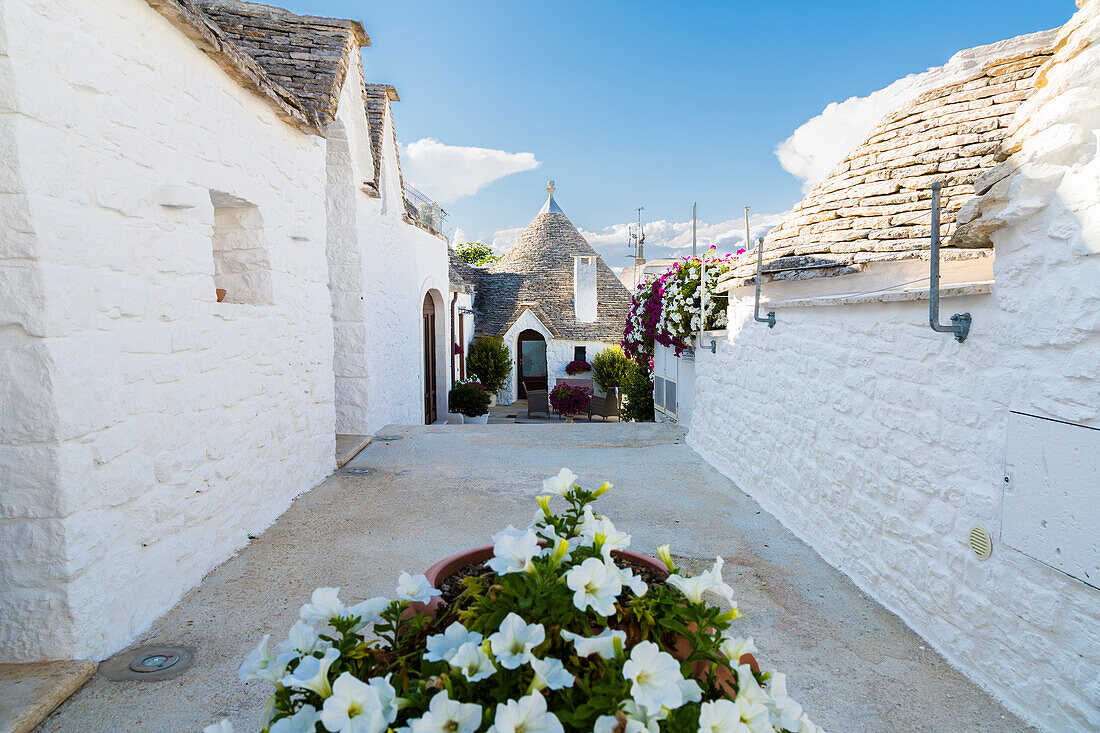 Trulli (typische Häuser) in Alberobello, Itria-Tal, Bezirk Bari, Apulien, Italien