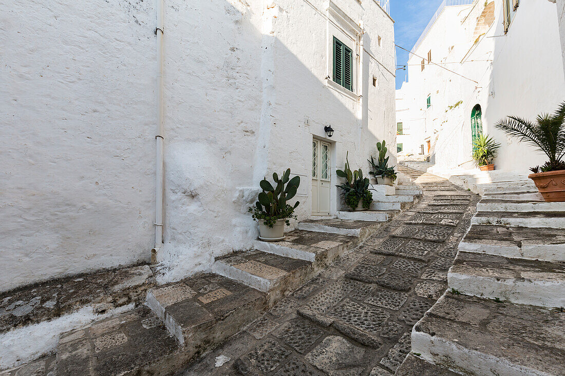 Ostuni, Itria Valley, Brindisi district, Apulia, Italy