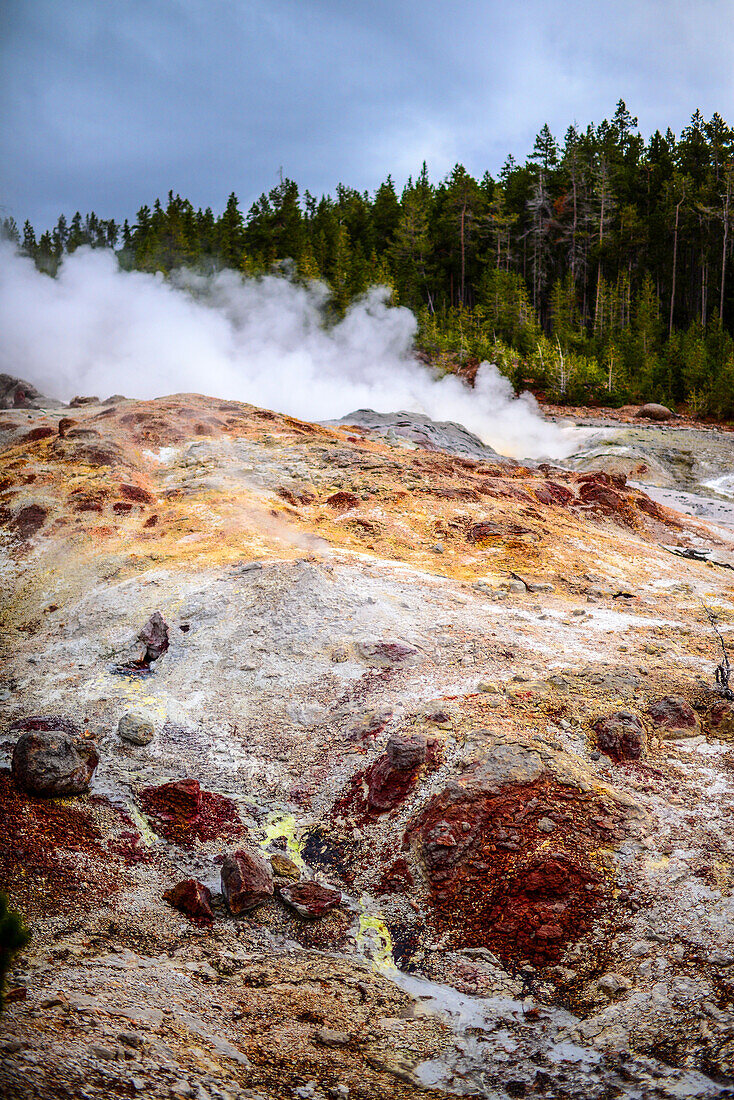 Dampfboot-Geysir im Norris Geyser Basin, Yellowstone-Nationalpark, USA