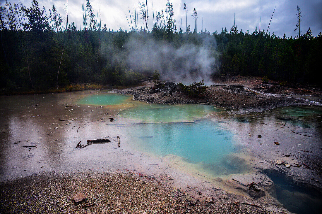 Norris-Geysir-Becken im Yellowstone-Nationalpark, USA