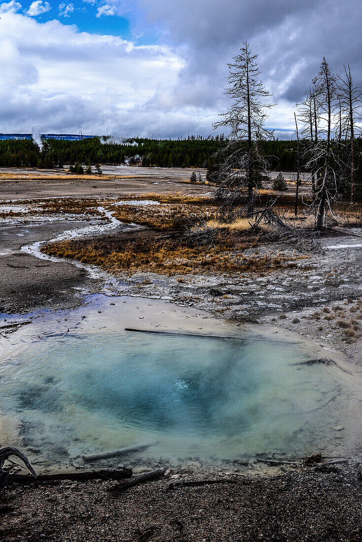 Norris Geyser Basin in Yellowstone National Park, USA