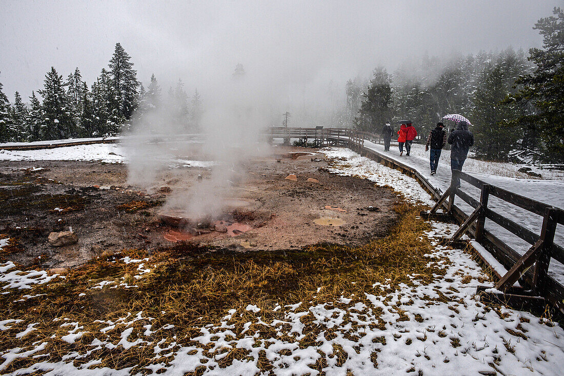 Red Spouter-Thermalschlot im Yellowstone-Nationalpark, USA