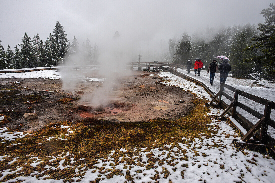 Red Spouter thermal vent in Yellowstone National Park, USA