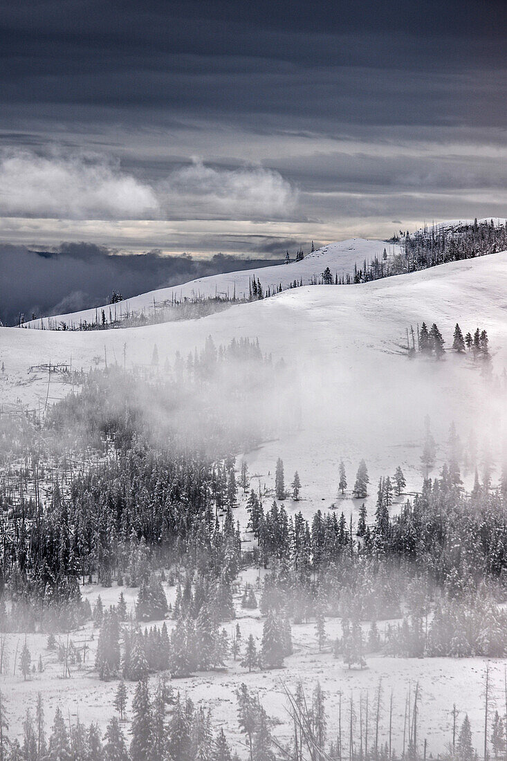 Winterlandschaft im Yellowstone-Nationalpark, USA