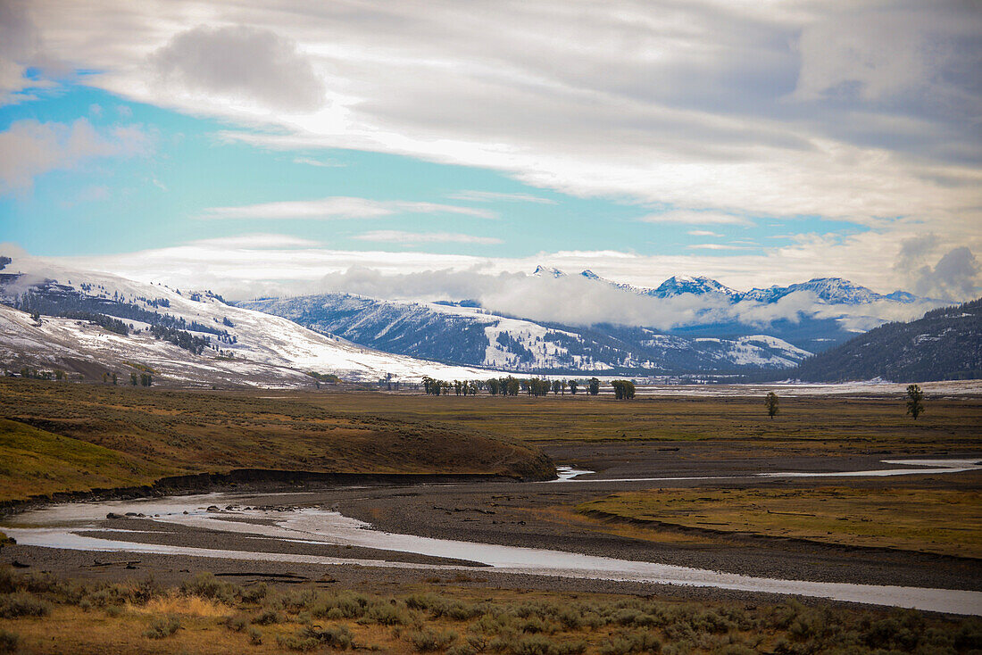 Winterlandschaft im Yellowstone-Nationalpark, USA