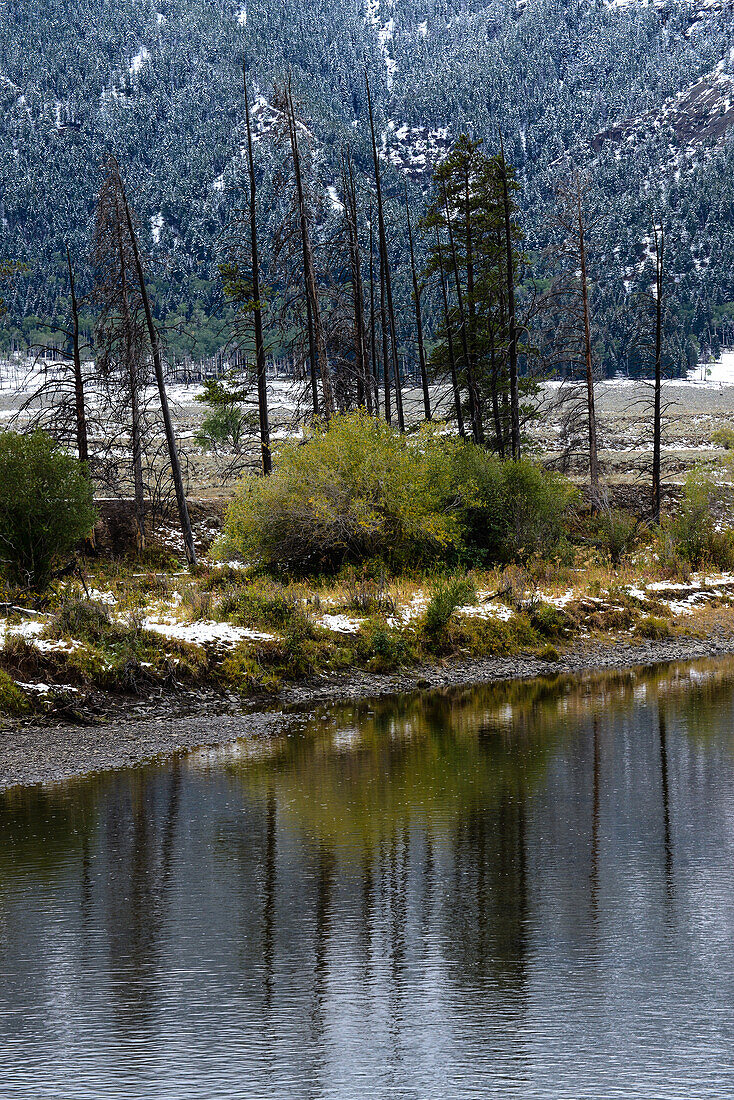 Winterlandschaft im Yellowstone-Nationalpark, USA