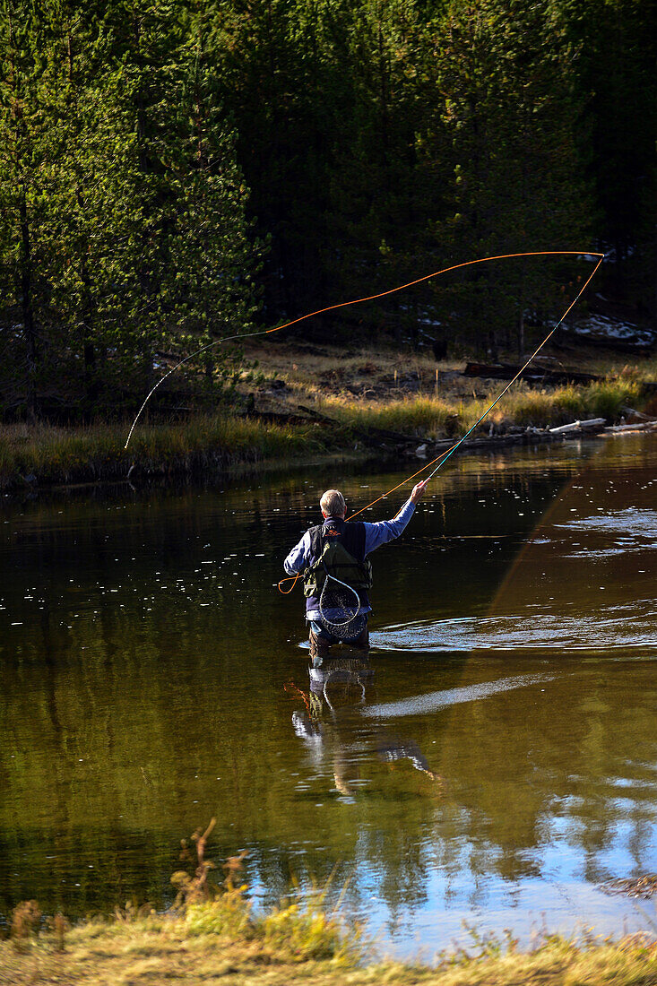 Fly fishing in Yellowstone National Park, United States