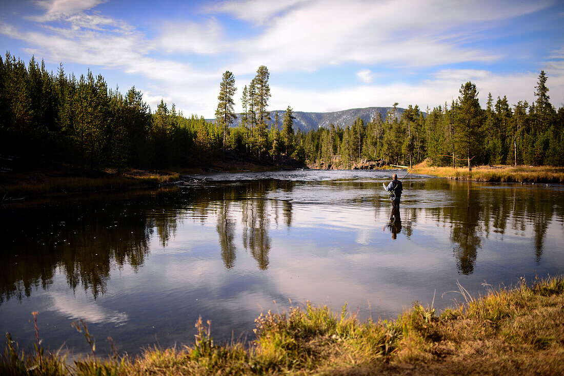 Fly fishing in Yellowstone National Park, United States