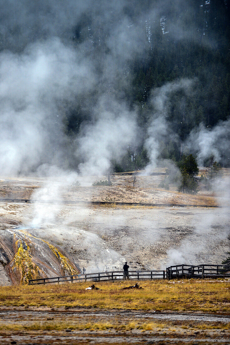 Person watches fumaroles in Upper Geyser Basin, Yellowstone National Park, USA