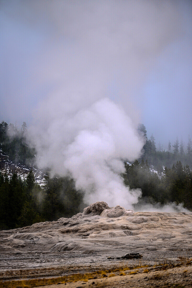 Old Faithful geyser in Upper Geyser Basin, Yellowstone National Park, USA