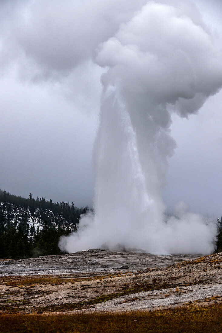 Old Faithful-Geysir im Upper Geyser Basin, Yellowstone-Nationalpark, USA