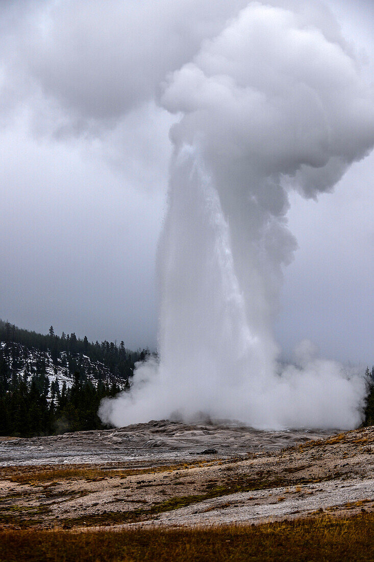 Old Faithful geyser in Upper Geyser Basin, Yellowstone National Park, USA