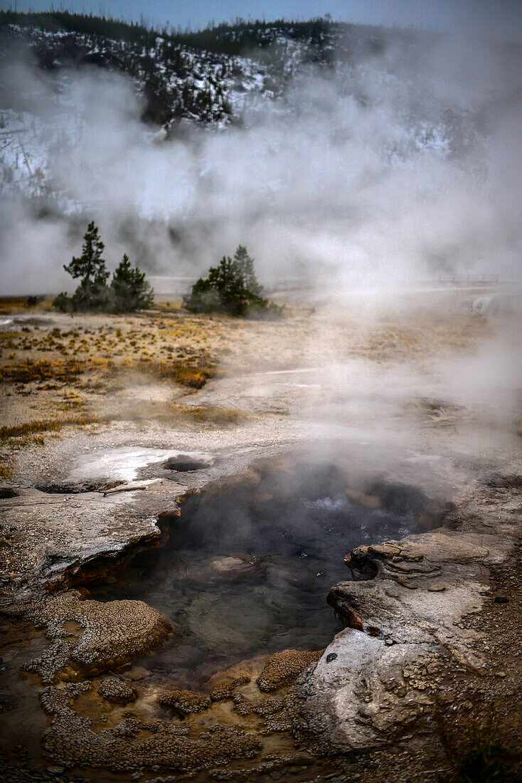 Cliff Geyser in Yellowstone National Park, USA