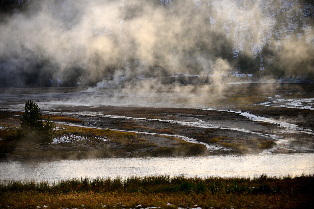 Steam vents rising from river in Yellowstone National Park, USA