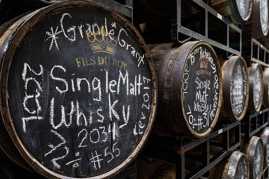 Cask of aging whiskey, the fils du roy distillery, petit-paquetville, new brunswick, canada, north america