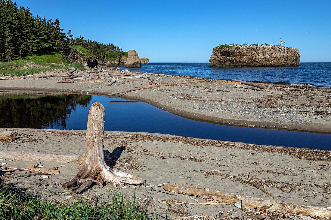 Der Strand und die Felsen von bird island, pokeshaw, new brunswick, kanada, nordamerika