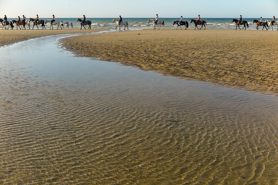 Horseback riding on the beach of cabourg, cote fleurie, calvados, normandy, france