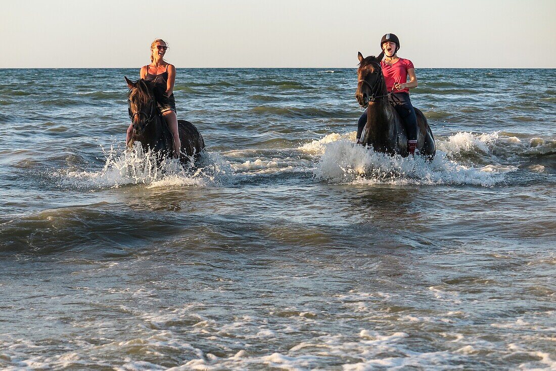 Ausbildung von Rennpferden am Strand von Cabourg, Côte Fleurie, Calvados, Normandie, Frankreich