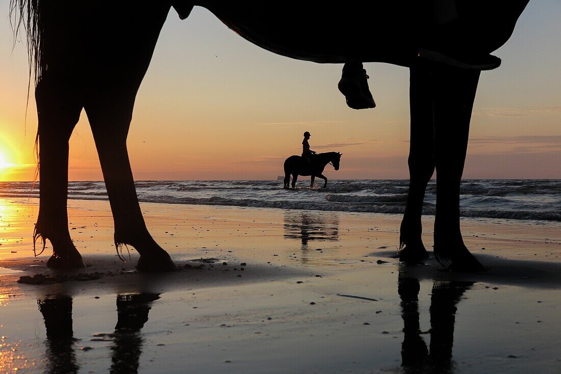 Training of racehorses on the beach of cabourg, cote fleurie, calvados, normandy, france
