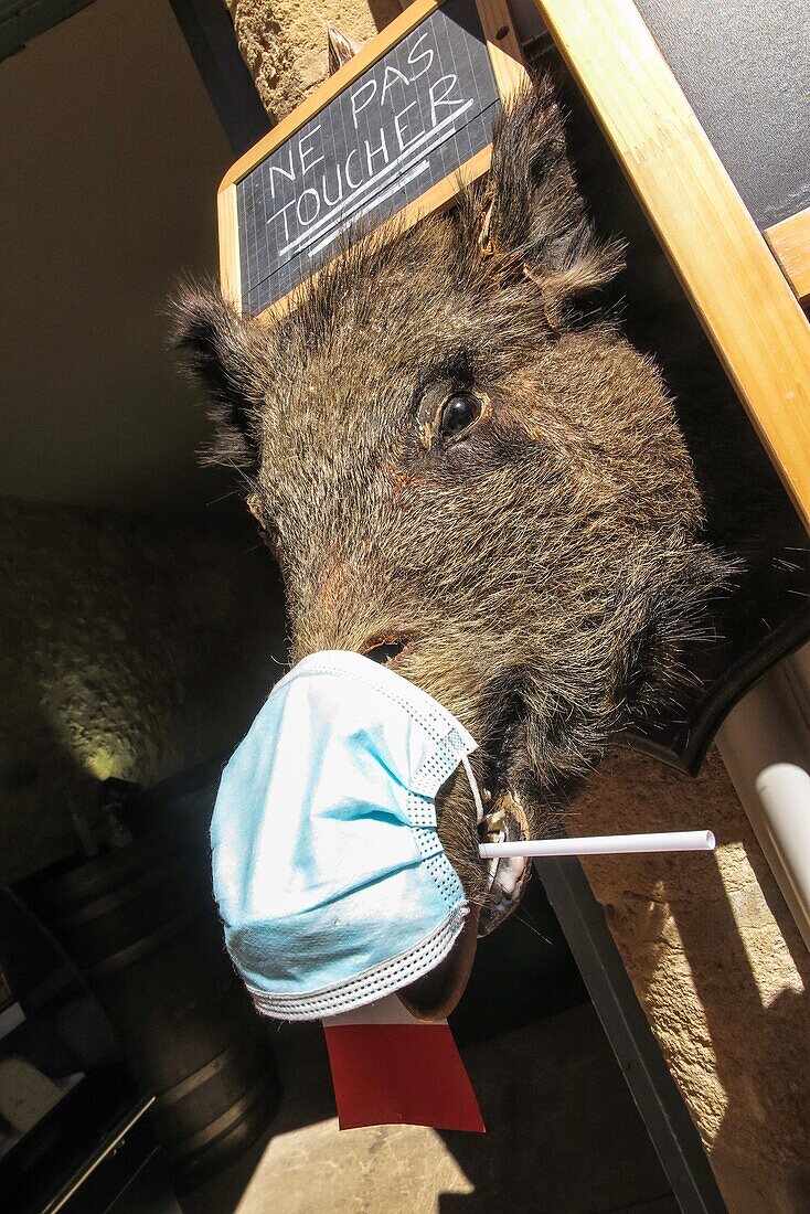 Berühren Sie kein Wildschwein mit seiner Hygienemaske, Humor des Händlers im Perigord, Frankreich