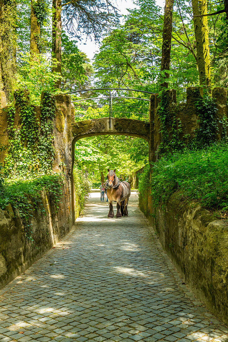 Pena-Nationalpalast, UNESCO-Welterbe, Sintra, Portugal, Europa