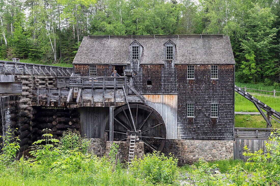 Wooden watermill for supplying the sawmill, kings landing, historic anglophone village, prince william parish, fredericton, new brunswick, canada, north america