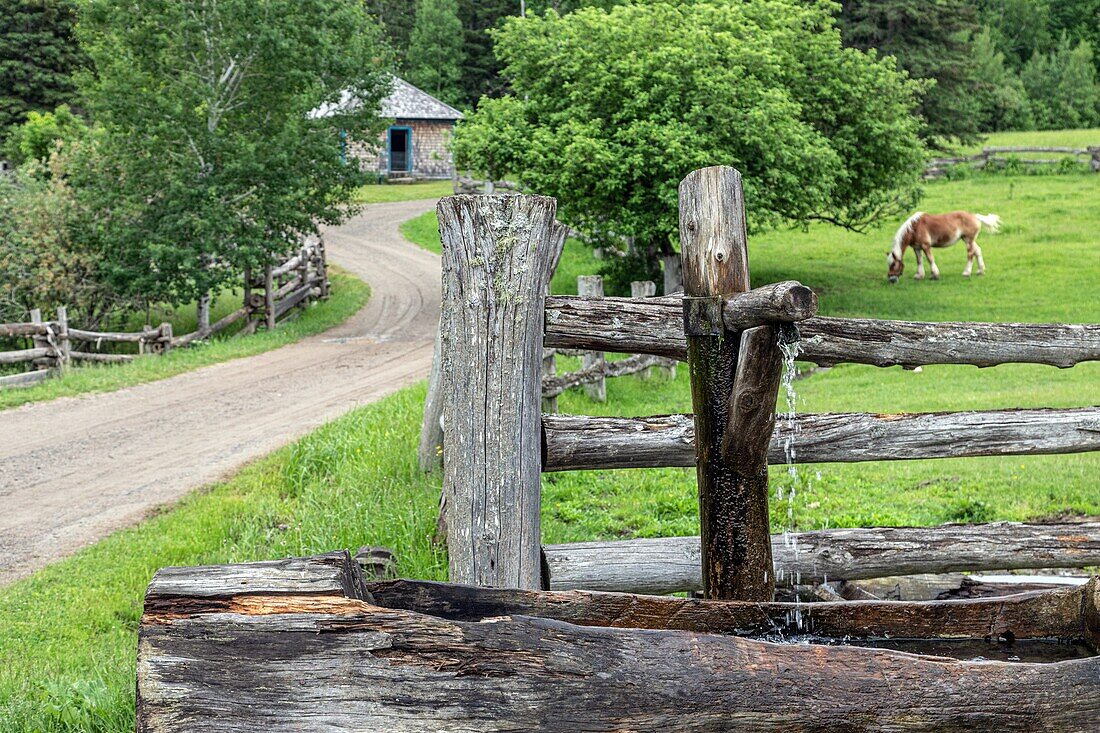 Wooden water trough for the animals, kings landing, historic anglophone village, prince william parish, fredericton, new brunswick, canada, north america