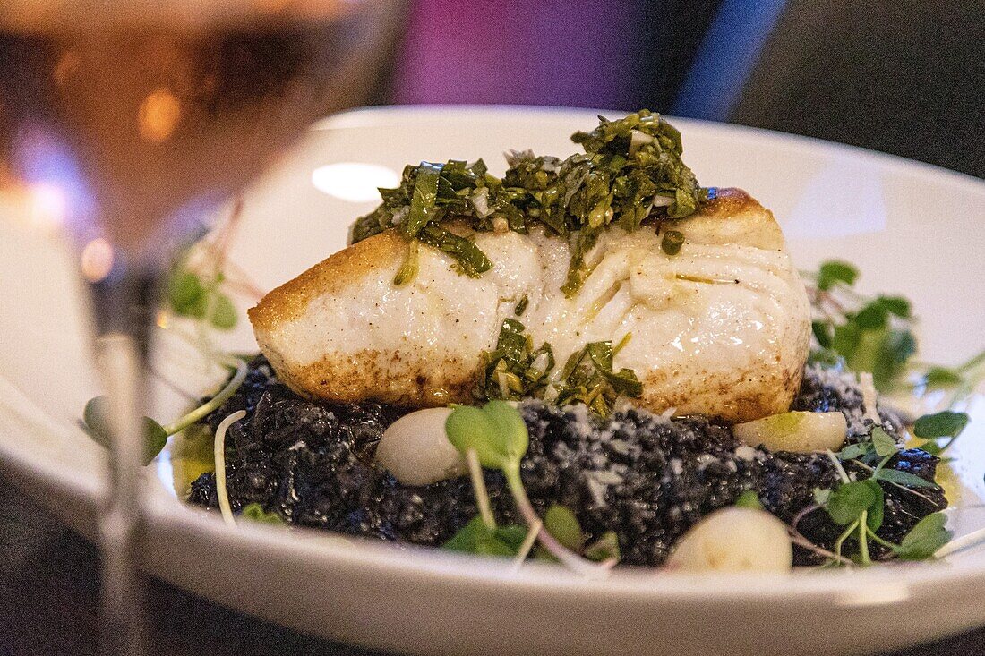 Filet of halibut with rice and squid ink, moncton, new brunswick, canada, north america